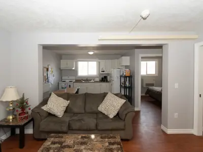 Living room and kitchen